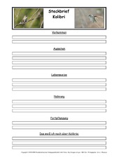 Kolibri-Steckbriefvorlage.pdf